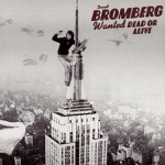 David Bromberg - Someone Else's Blues