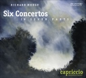 Concerto a 7 No. 1 In D Major: II. Allegro artwork