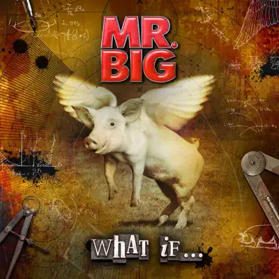 What If. . . (Bonus Version) - Mr. Big
