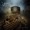 Cattle Decapitation - The Gardeners Of Eden