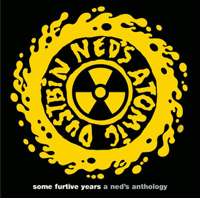 Ned's Atomic Dustbin - Some Furtive Years - A Ned's Anthology artwork