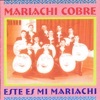 Este Es Mi Mariachi