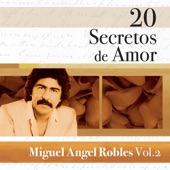 20 Secretos de Amor: Miguel Angel Robles, Vol. 2 artwork