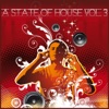 A State of House Vol.3