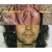 The Flaming Lips - Brainville