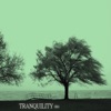 Tranquility 004