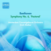 Beethoven, L.: Symphony No. 6, "Pastoral" (Kleiber) (1953) artwork