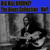 The Blues Collection Vol 1