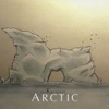 Arctic