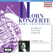 Andrew Joy, horn; Cologne Radio Symphony Orchestra - Strauss: Horn Concerto No. 2 in Eb