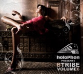 Holophon Presents B-Tribe, Vol. 6, 2008