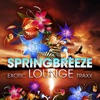 Springbreeze Exotic Lounge Traxx, Vol. 1 (Cafe del Buddah Chill Out Edition)