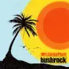 Bush Rock album lyrics, reviews, download