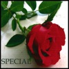 Special