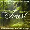 The Nature Relaxation Collection - the Forest / Soothing Music and Nature Sounds album lyrics, reviews, download