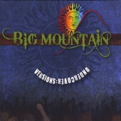 Big Mountain - What You Won't Do For Love