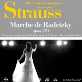 Johann Strauss : Marche de Radetzky, Op. 228 artwork