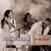 Peppino di Capri - Un grande amore e niente più