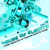 House of Electro, Vol. 4 (Finest Selection of Pumping Electro Tunes)