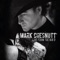 Jolie - Mark Chesnutt lyrics