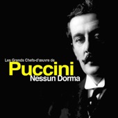 Tosca: Act III. - "E lucevan le stelle" artwork