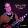 Dave Stryker - Blue Degrees