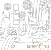 DREAMS COME TRUE - Moshimo Yukinara