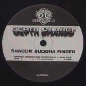 Shaolin Buddha Finger artwork