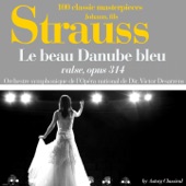 Johann Strauss : Le beau Danube bleu, valse, Op. 314 artwork