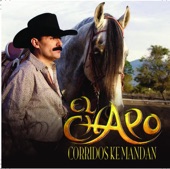 Corridos Ke Mandan