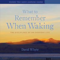 David Whyte - What to Remember When Waking: The Disciplines of Everyday Life artwork