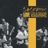 Sanseverino : Live au Théâtre Sébastopol