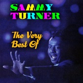 Sammy Turner - Raincoat In a River