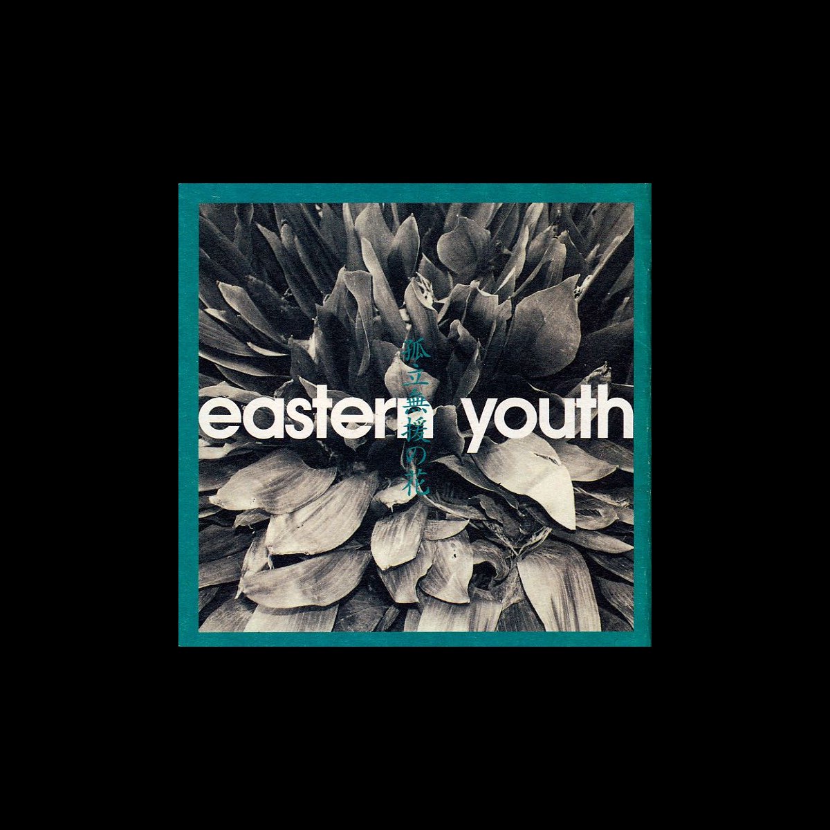 イースタンユース EASTERN YOUTH アナログ盤 廃盤 - 邦楽