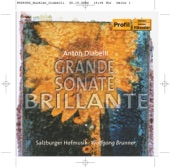 Grande Sonate Brillante In D Minor, Op. 102: I. Adagio - Allegro artwork