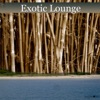 Exotic Lounge