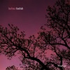 Baobab - Single