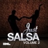 Just Salsa 2.0, 2011