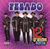 Pesado: 12 Grandes Éxitos, Vol. 2 album lyrics, reviews, download