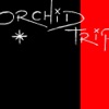 Orchid Trip