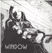 Window - Window