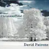 Christmastidal album lyrics, reviews, download