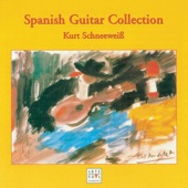 Spanish Guitar Collection artwork