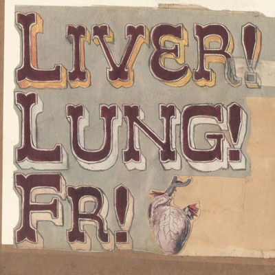 Quietly Now ! - Midnight Organ Fight Live and Acoustic At the Captains Rest - Frightened Rabbit
