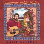 David Goldman - Summer With Juliet
