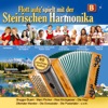Flott Aufg'spielt Mit Der Steirischen Harmonika - B