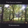 The Earth Ambient