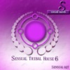Sensual Tribal House (6)