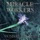 Miracle Workers-The Most Righteous Way