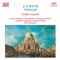 Violin Concerto In e Major, BWV 1042: II. Adagio artwork